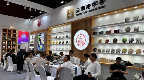 廣州秋季茶博會首日盛況 云南云墾茶業展位人氣爆棚，展覽服務亮點紛呈